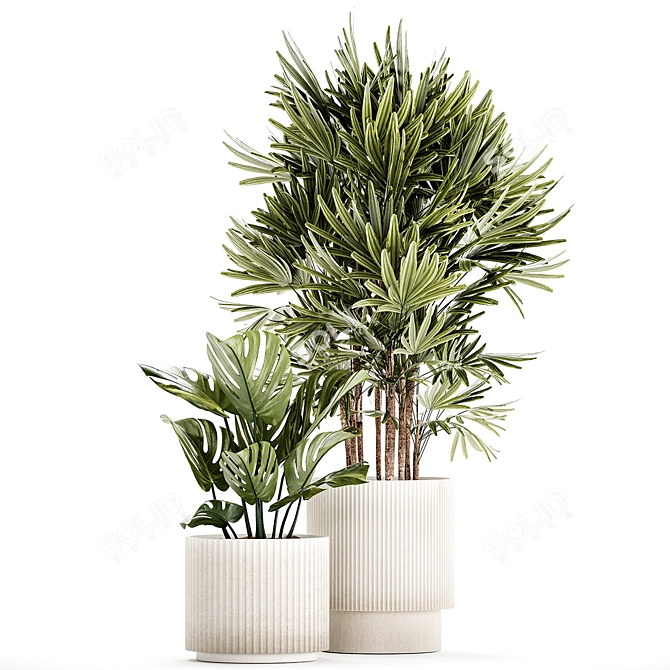 Modern Plant Collection 1448 3D model image 5