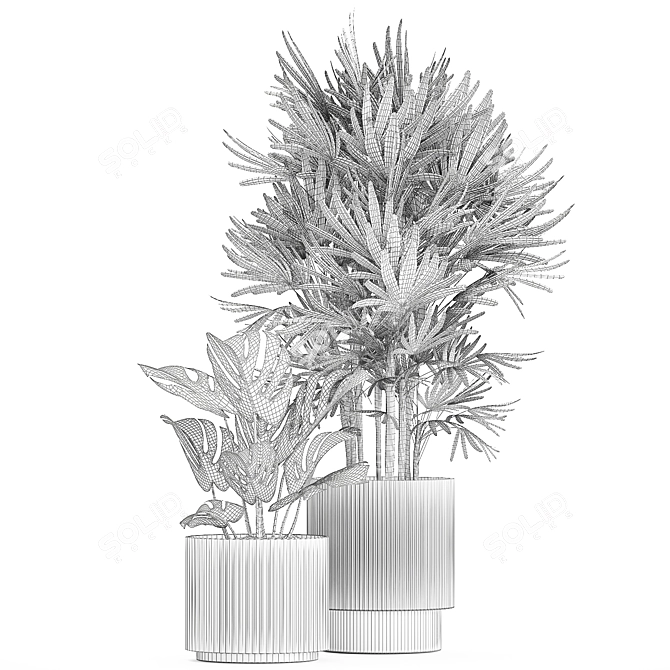 Modern Plant Collection 1448 3D model image 7