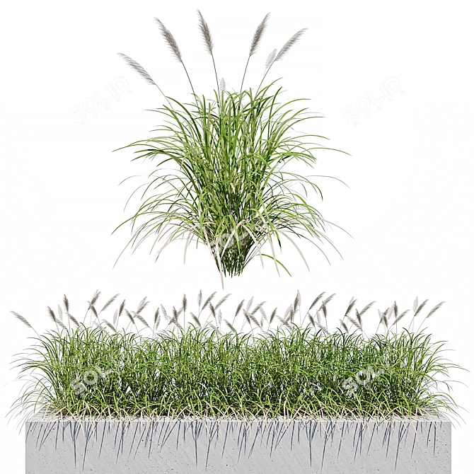 Lush Grass 3D Models Pack 3D model image 1