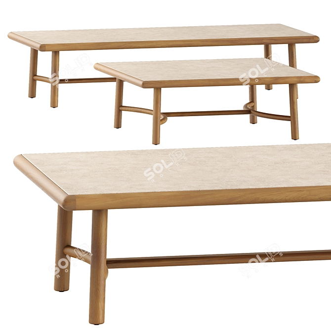Elegant Ukiyo Low Table by Tribu 3D model image 2