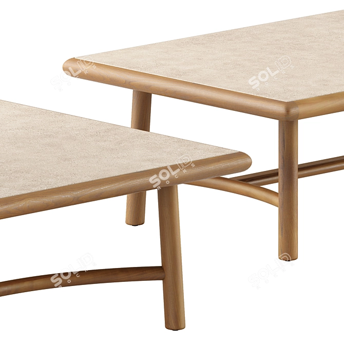 Elegant Ukiyo Low Table by Tribu 3D model image 3