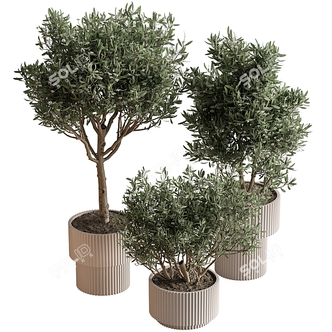 Potted Tree - Indoor Decor 3D model image 1