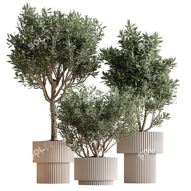 Potted Tree - Indoor Decor 3D model image 2