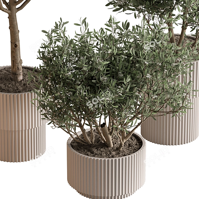 Potted Tree - Indoor Decor 3D model image 4