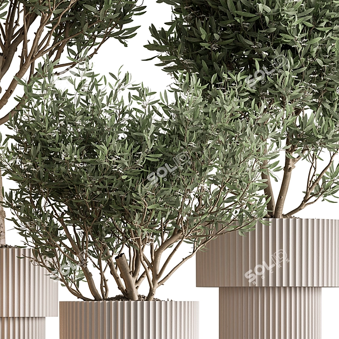 Potted Tree - Indoor Decor 3D model image 5