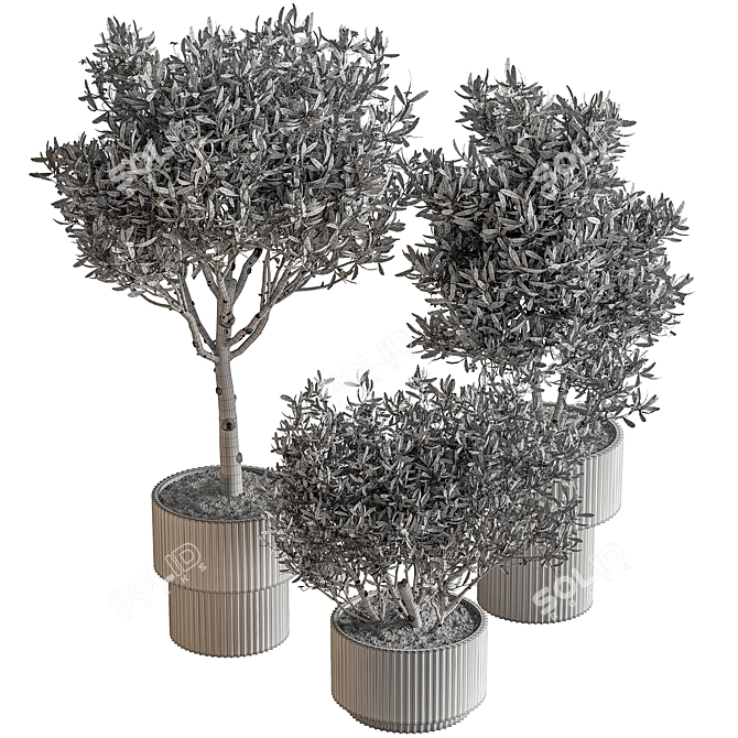 Potted Tree - Indoor Decor 3D model image 6