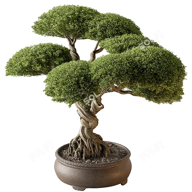 Miniature Bonsai Tree 639 3D model image 1