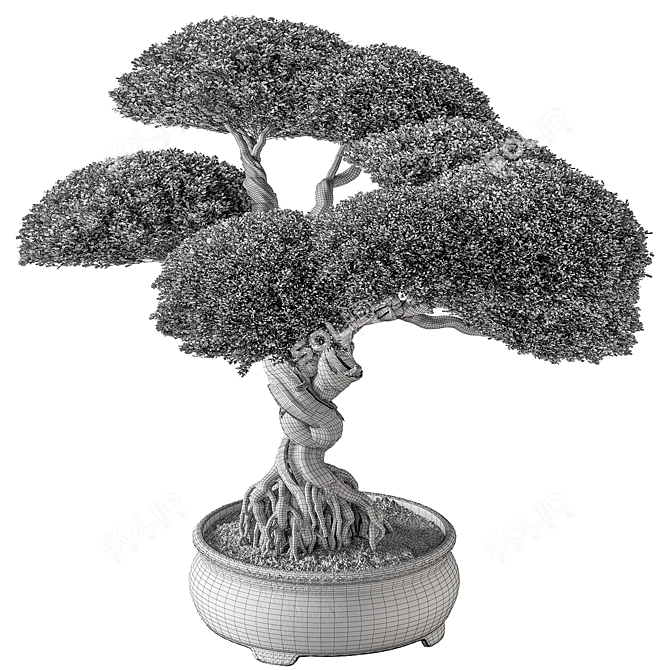 Miniature Bonsai Tree 639 3D model image 4