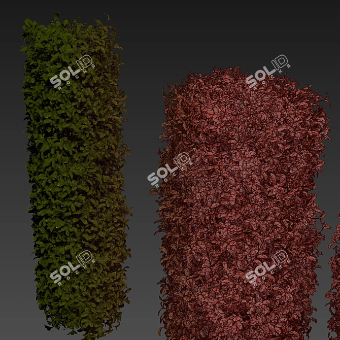 Lush Cylinder Plant Collection 552 3D model image 7