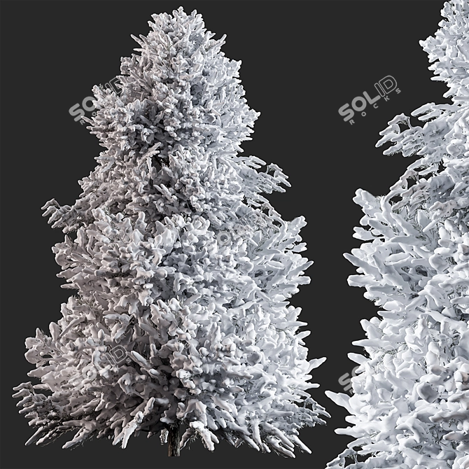 Snowy Pine Tree 283 - Winter 3D model image 1