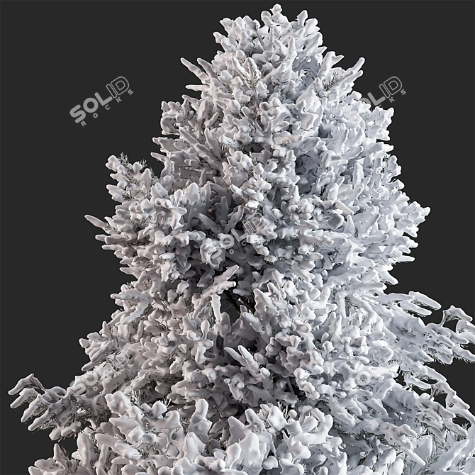 Snowy Pine Tree 283 - Winter 3D model image 3