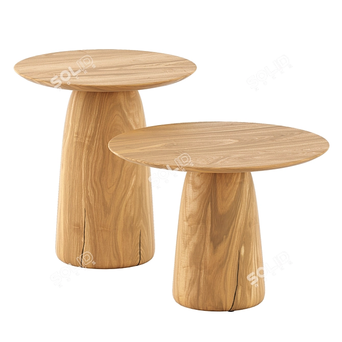 Tribu Dunes Low Tables Set 3D model image 3