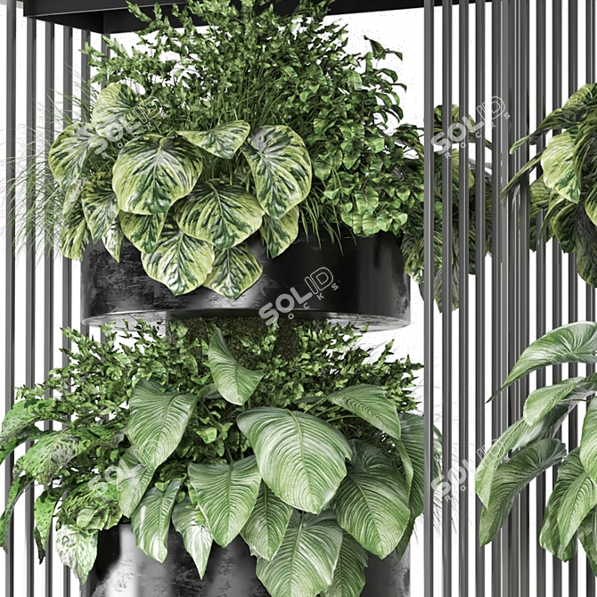 Exquisite Indoor Plants Collection 3D model image 2