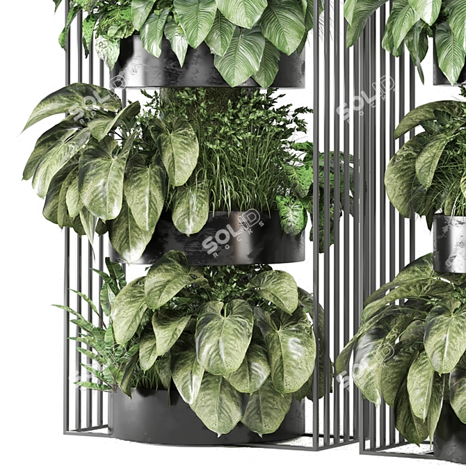 Exquisite Indoor Plants Collection 3D model image 4