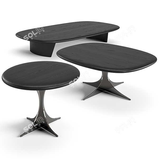 Sleek Minotti Anish Coffee Tables 3D model image 1