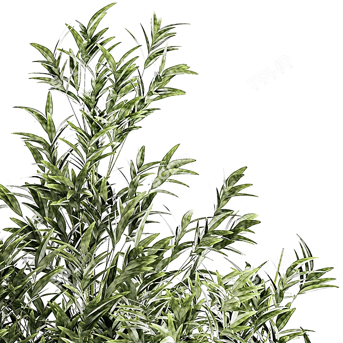 Modern Plant Collection Set 1451 3D model image 2