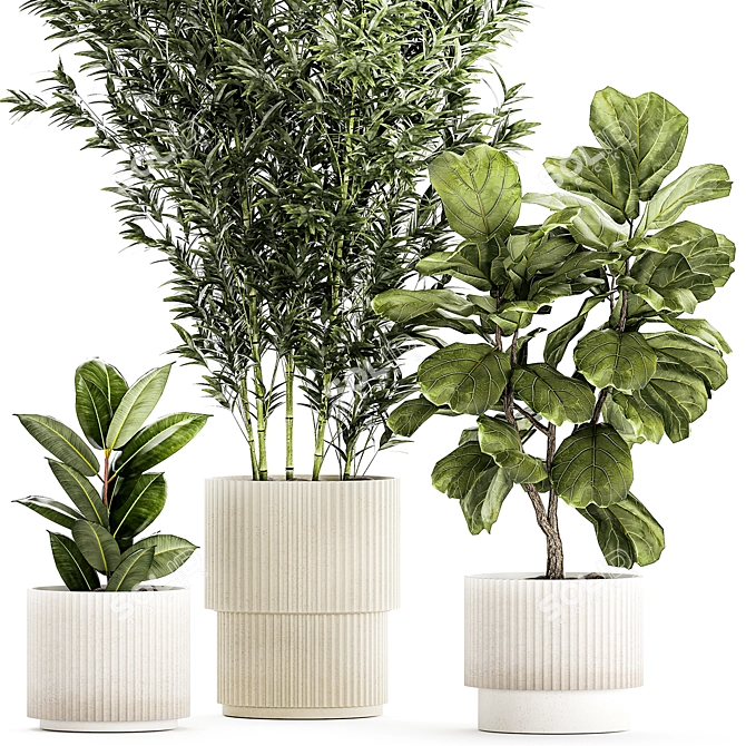 Modern Plant Collection Set 1451 3D model image 3