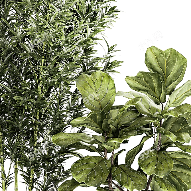 Modern Plant Collection Set 1451 3D model image 4