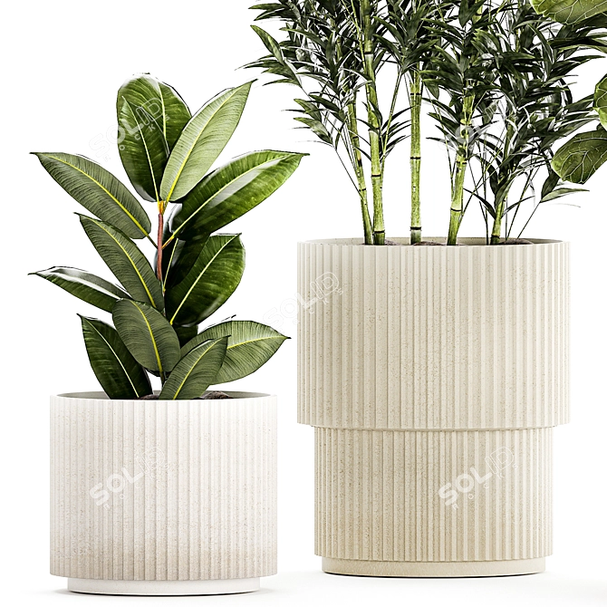 Modern Plant Collection Set 1451 3D model image 5