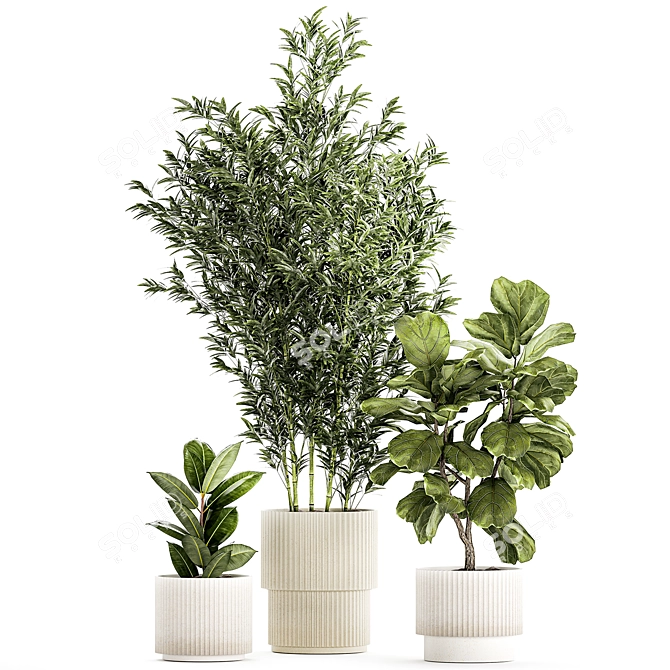 Modern Plant Collection Set 1451 3D model image 6