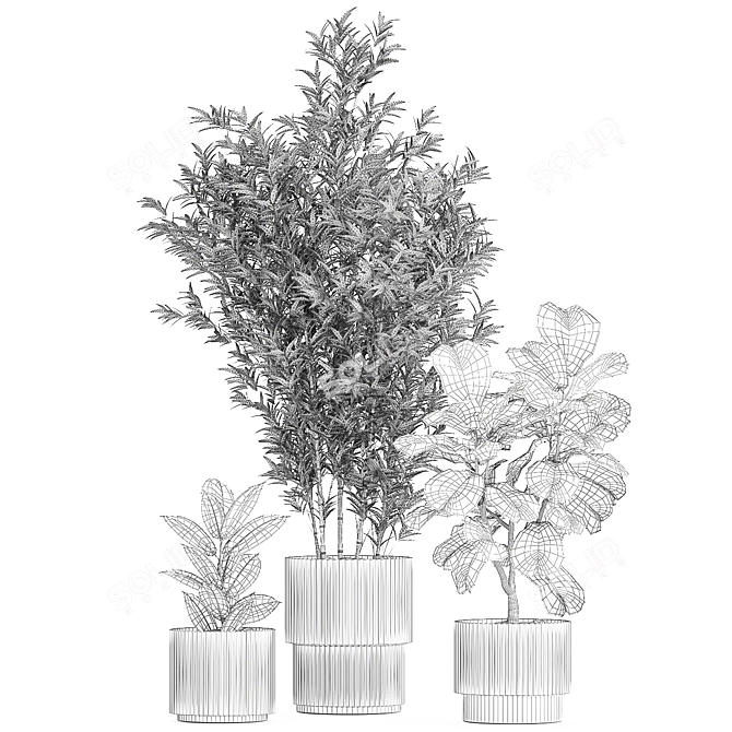Modern Plant Collection Set 1451 3D model image 7
