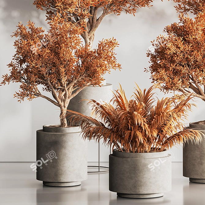 Modern Dry Indoor Plant Set 3D model image 4