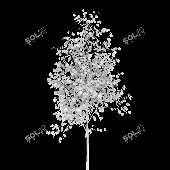 Himalayan Birch Tree Set 3D model image 6