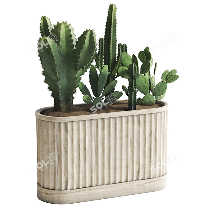 Handcrafted Cactus Collection 02 3D model image 3