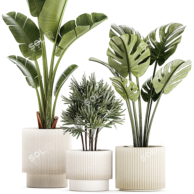 Exotic Plant Collection 1452 3D model image 3