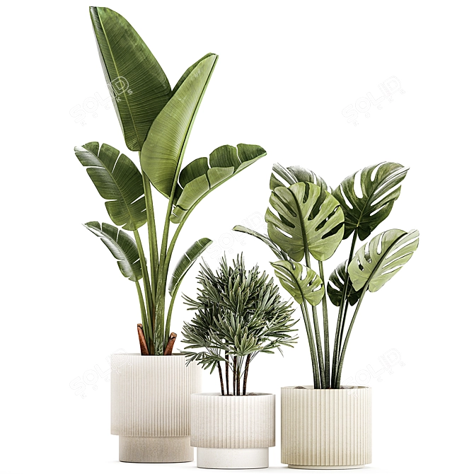 Exotic Plant Collection 1452 3D model image 5