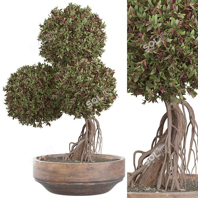 Modern Indoor Plant 461 Model 3D model image 1