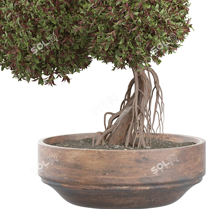 Modern Indoor Plant 461 Model 3D model image 2