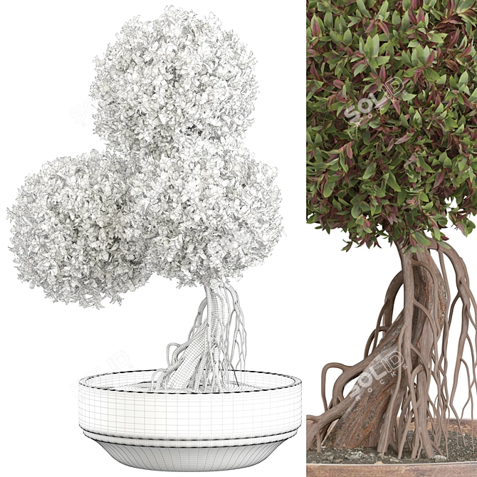 Modern Indoor Plant 461 Model 3D model image 3