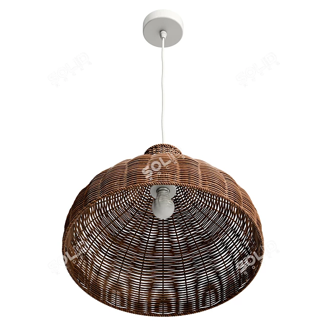 Hand-Woven Rattan Pendant Light 3D model image 4