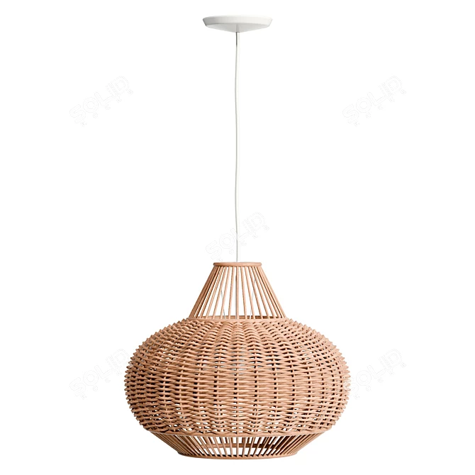 Handwoven Wicker Pendant Lighting 3D model image 3