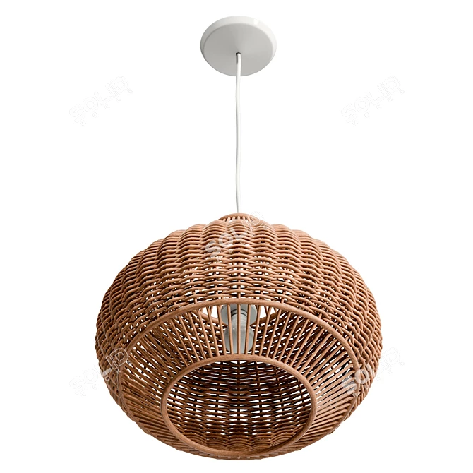 Handwoven Wicker Pendant Lighting 3D model image 4