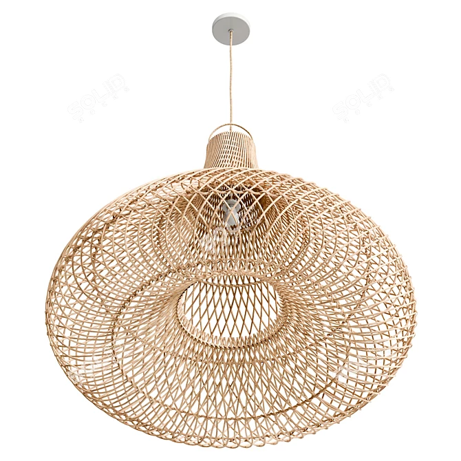 Natural XL Pendant Light Fixture 3D model image 4