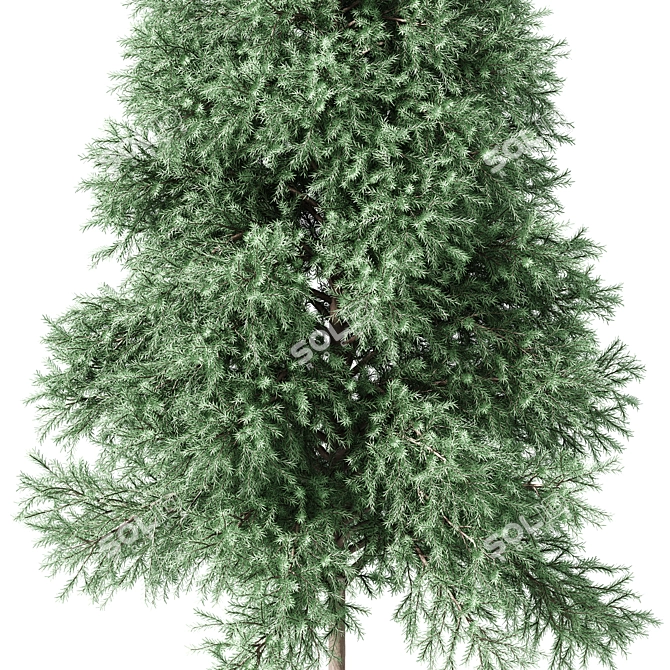 Realistic Green Fir Tree 1650mm 3D model image 2