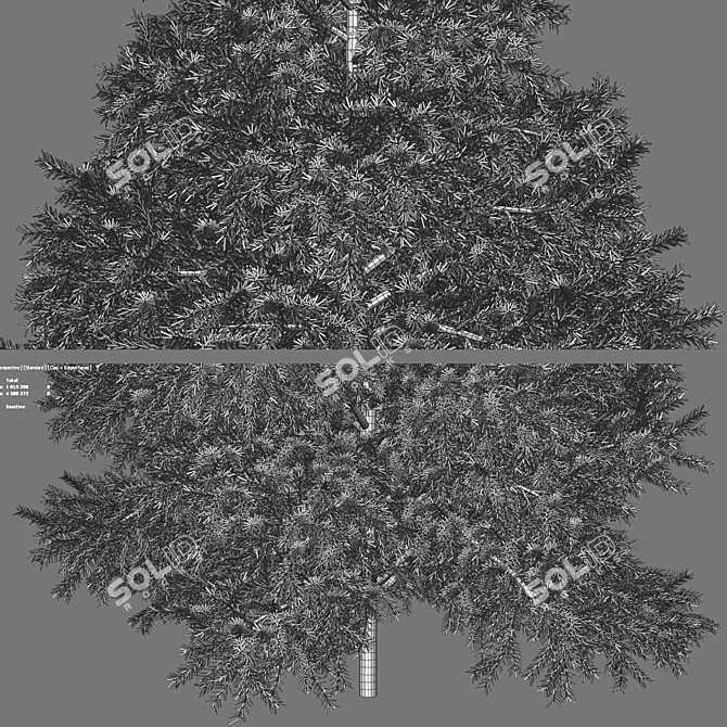 Realistic 1650mm Green Fir Tree 3D model image 4