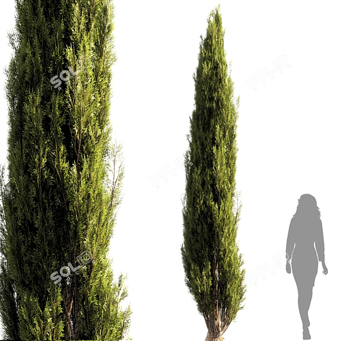 Beautiful Bush Tree 010 3D model image 1