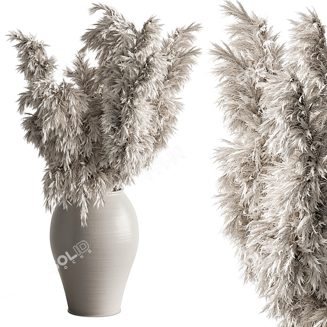 Pampas Grass Dried Home Decor 3D model image 1