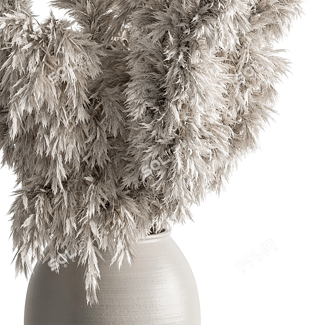 Pampas Grass Dried Home Decor 3D model image 2