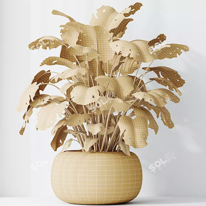 Monstera Deliciosa Swiss Cheese Plant 3D model image 5