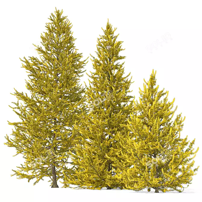 Larix Decidua Tree Scene Kit 3D model image 3