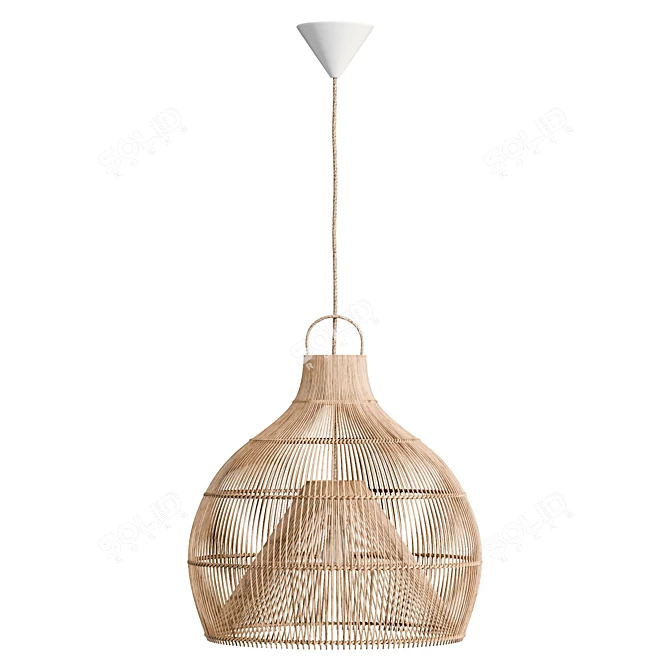 Handcrafted Lobster Trap Pendant Light 3D model image 2