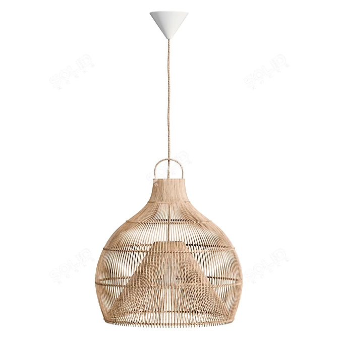 Handcrafted Lobster Trap Pendant Light 3D model image 3