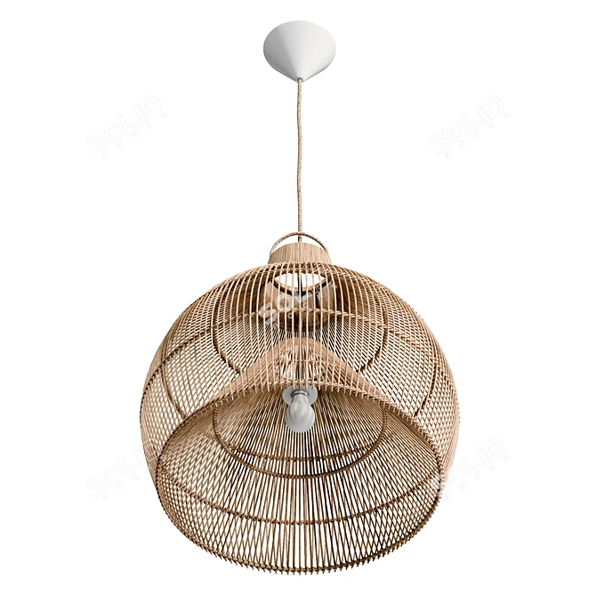 Handcrafted Lobster Trap Pendant Light 3D model image 4