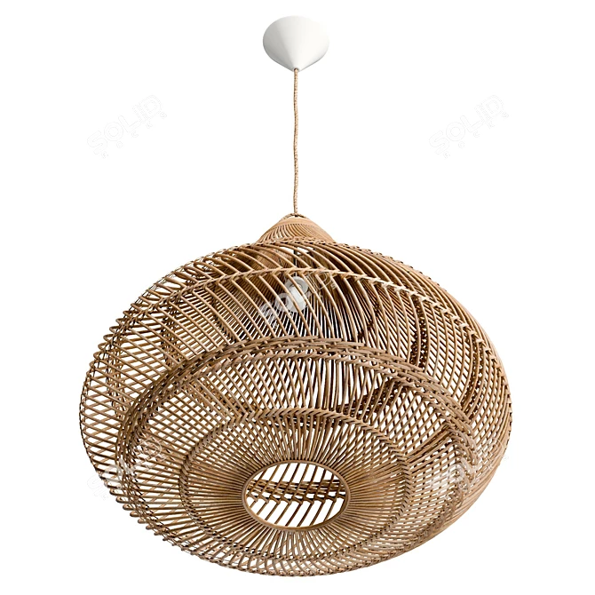 Natural Pendant Light XL, 8192x8192 Texture 3D model image 4