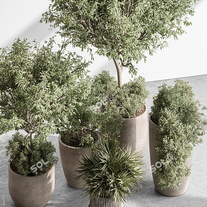 Interior Tree in Pot 3D model image 2