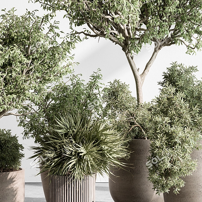 Interior Tree in Pot 3D model image 3